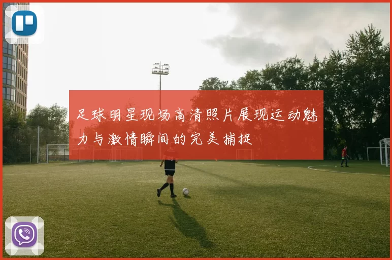 足球明星现场高清照片展现运动魅力与激情瞬间的完美捕捉