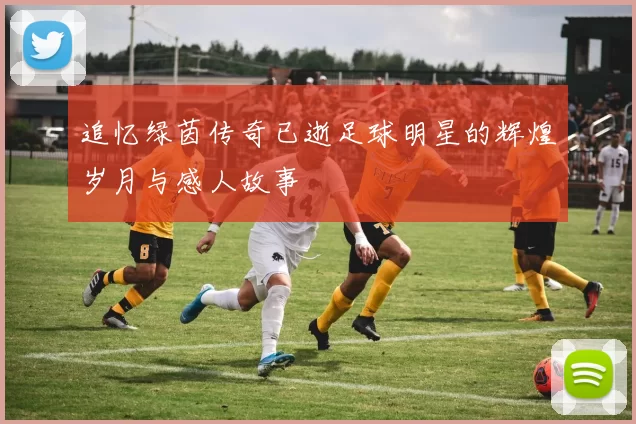 追忆绿茵传奇已逝足球明星的辉煌岁月与感人故事
