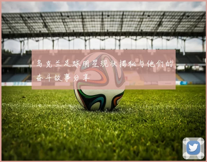 乌克兰足球明星现状揭秘与他们的奋斗故事分享