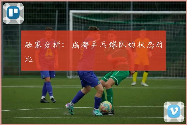 独家分析：成都乒乓球队的状态对比