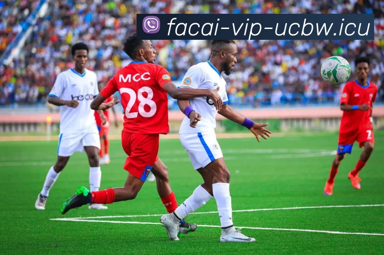 乐鱼体育注册APP 高清赛事图